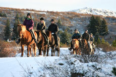 Islande et cheval islandais : randonnée équestre sur la terre de feu et de glace - Randocheval/ Absolu Voyages