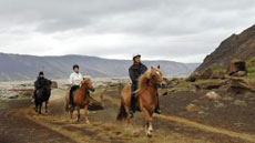 Le cheval islandais et ses allures
