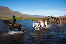 Randonnée Equestre dans la Péninsule de Snaefellsnes en Islande - Randocheval