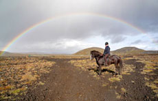 Islande et cheval islandais : randonnée équestre sur la terre de feu et de glace - Randocheval/ Absolu Voyages