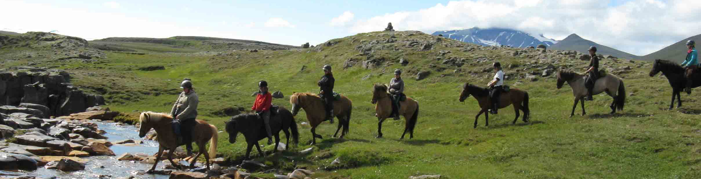 Randonnée Equestre dans la Région d'Egilsstadir, sur les traces des Vikings - Randocheval / AbsoluVoyages